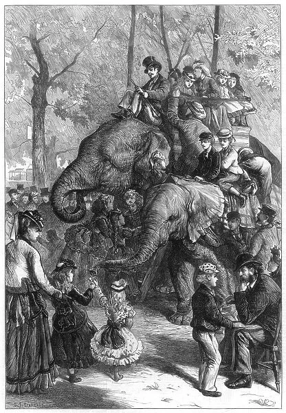 Monday afternoon at the zoological societys gardens, 1871. Artist: Charles Joseph Staniland