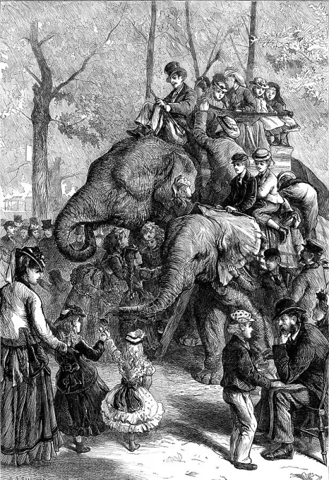 Framed Print : Monday afternoon at the Zoological Society's Gardens, 1871. Creator: Unknown Framed Print : Monday afternoon at the Zoological Society's Gardens, 1871. Creator: Unknown