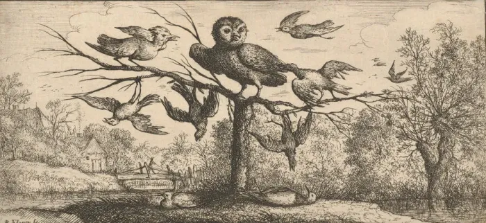 Framed Print : Monedula, Chouette (The Owl): Livre d Oyseaux (Book of Birds), 1655-1660 Framed Print : Monedula, Chouette (The Owl): Livre d Oyseaux (Book of Birds), 1655-1660