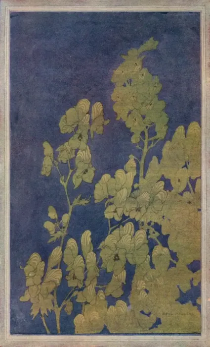 Framed Print : Monk s-Hood, c1922. Artist: Harriet Sibyl Meugen Framed Print : Monk s-Hood, c1922. Artist: Harriet Sibyl Meugen