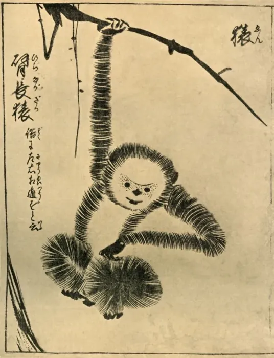 Framed Print : Monkey, 1720, (1924). Creator: Tachibana Morikuni Framed Print : Monkey, 1720, (1924). Creator: Tachibana Morikuni