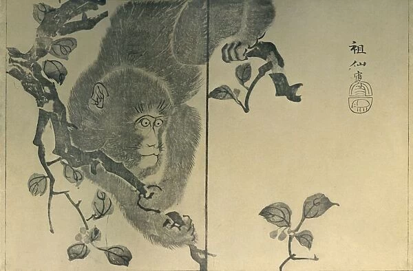 Monkey, 1815, (1924). Creator: Mori Sosen