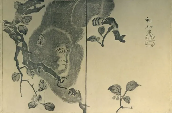 Framed Print : Monkey, 1815, (1924). Creator: Mori Sosen Framed Print : Monkey, 1815, (1924). Creator: Mori Sosen