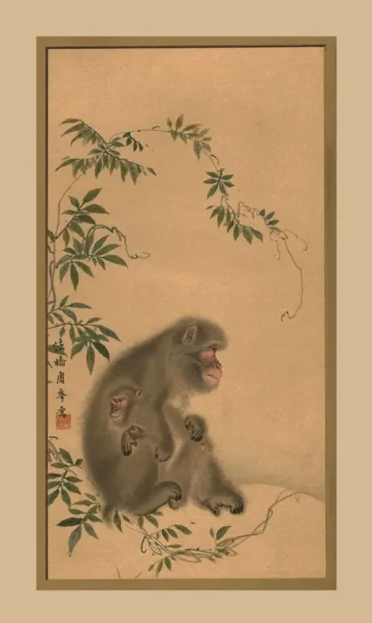 Framed Print : Monkey, 19th century, (1886) Framed Print : Monkey, 19th century, (1886)