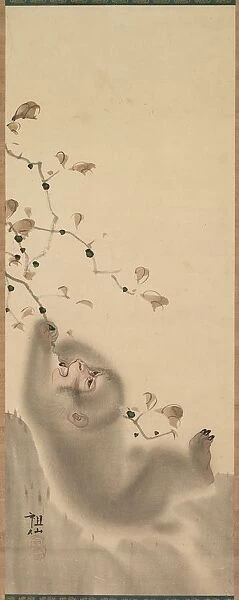 Monkey Hanging on to a Branch, 1780. Creator: Mori Sosen (Japanese, 1747-1821)