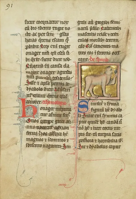 Framed Print : A Monkey; De Natura Avium; De Pastoribus et Ovibus, 1277 or after. Creator: Unknown Framed Print : A Monkey; De Natura Avium; De Pastoribus et Ovibus, 1277 or after. Creator: Unknown