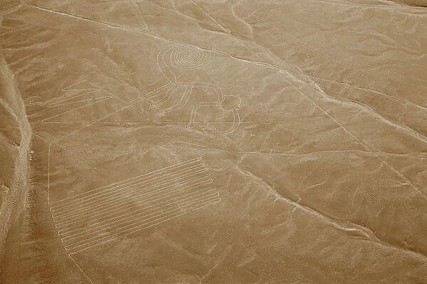The Monkey, Nazca Lines, Ica, Peru, 2015. Creator: Luis Rosendo