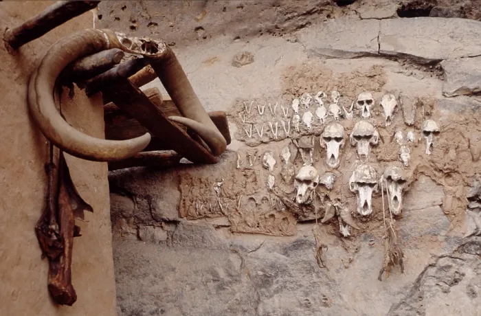 Framed Print : Monkey skulls, Bandiagara Escarpment, Pays Dogon, Mali, 1990. Creator: Amanda Waite Framed Print : Monkey skulls, Bandiagara Escarpment, Pays Dogon, Mali, 1990. Creator: Amanda Waite