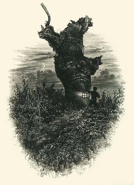 The Monkey Tree. Burnham Beeches, c1870