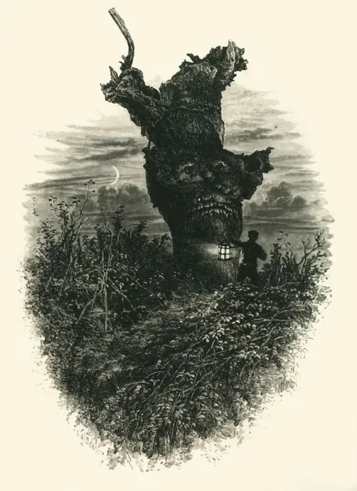 Framed Print : The Monkey Tree. Burnham Beeches, c1870 Framed Print : The Monkey Tree. Burnham Beeches, c1870