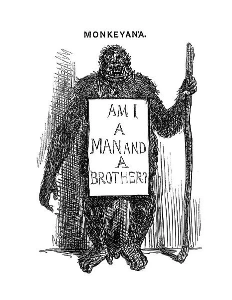 Monkeyana: Am I a Man and a Brother?, 1861