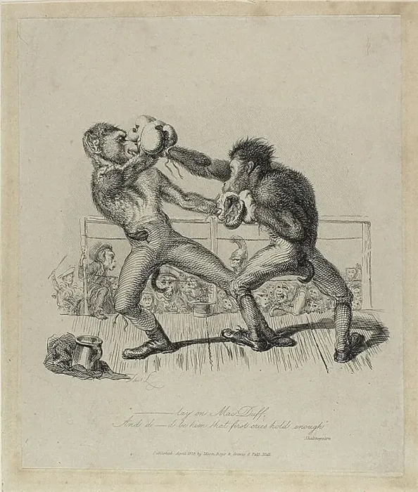 Framed Print : Monkeys Boxing, from Monkey-ana, April 1828. Creator: Thomas Landseer Framed Print : Monkeys Boxing, from Monkey-ana, April 1828. Creator: Thomas Landseer