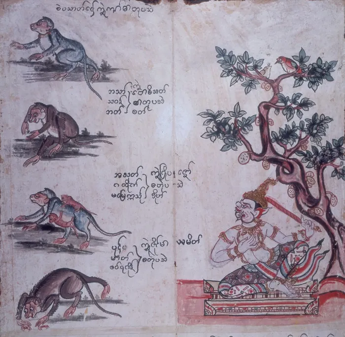 Framed Print : Monkeys and a Buddhist deity, c1700-c1820. Creator: Unknown Framed Print : Monkeys and a Buddhist deity, c1700-c1820. Creator: Unknown