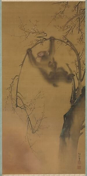 Monkeys in a Cherry Tree, 1615-1868. Creator: Mori Sosen (Japanese, 1747-1821)