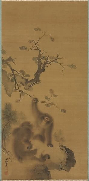 Monkeys on a Rock Ledge, 1615-1868. Creator: Mori Sosen (Japanese, 1747-1821)