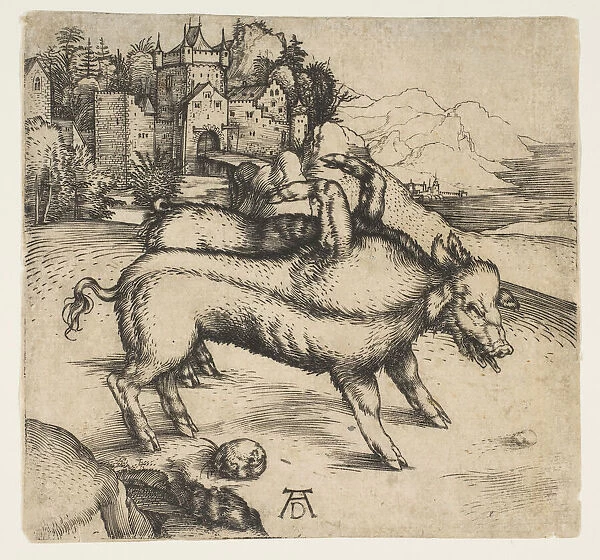 The Monstrous Pig of Landser, ca. 1496. Creator: Albrecht Durer