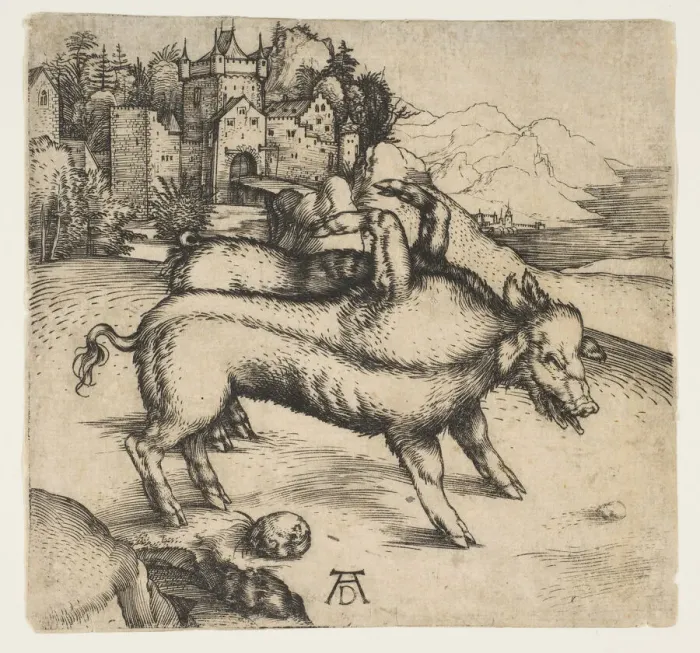 Framed Print : The Monstrous Pig of Landser, ca. 1496. Creator: Albrecht Durer Framed Print : The Monstrous Pig of Landser, ca. 1496. Creator: Albrecht Durer