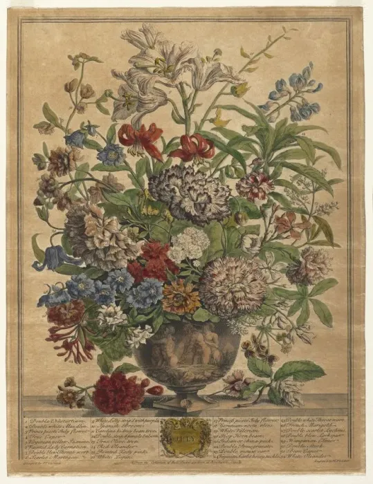 Framed Print : Twelve Months of Flowers: July, 1730. Creator: Henry Fletcher (British, active 1715-38)