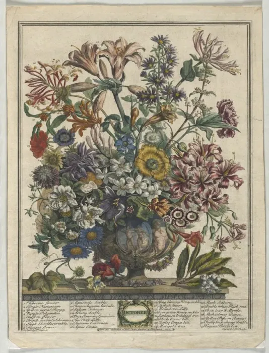 Framed Print : Twelve Months of Flowers: October, 1730. Creator: Henry Fletcher (British, active 1715-38) Framed Print : Twelve Months of Flowers: October, 1730. Creator: Henry Fletcher (British, active 1715-38)