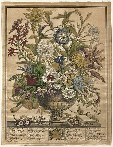 Twelve Months of Flowers: September, 1730. Creator: Henry Fletcher (British, active 1715-38)