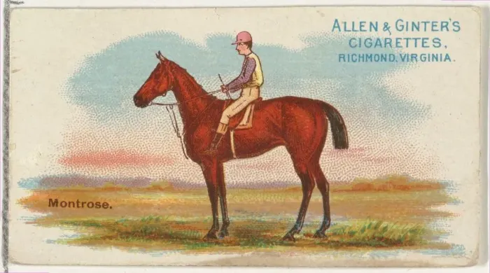 Framed Print : Montrose, from The Worlds Racers series (N32) for Allen & Ginter Cigarettes, 1888 Framed Print : Montrose, from The Worlds Racers series (N32) for Allen & Ginter Cigarettes, 1888