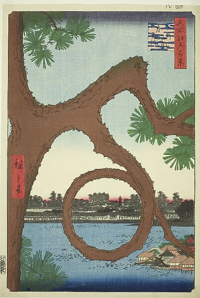 The Moon Pine on the Temple Grounds at Ueno (Ueno sannai Tsuki no matsu), from the series... 1857. Creator: Ando Hiroshige