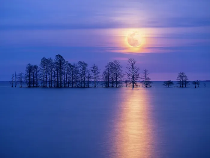 Framed Print : Moonlight Sonata. Creator: Eve Turek Framed Print : Moonlight Sonata. Creator: Eve Turek
