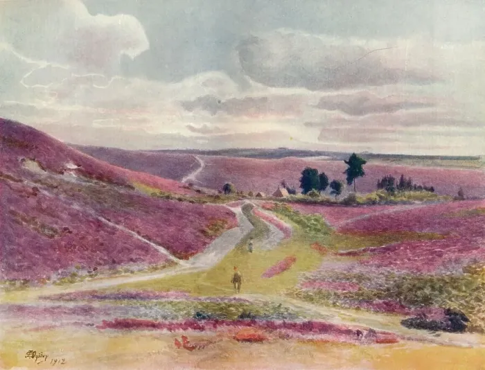 Framed Print : Moorland at Frensham, 1912, (1914). Artist: Jamess Ogilvy Framed Print : Moorland at Frensham, 1912, (1914). Artist: Jamess Ogilvy