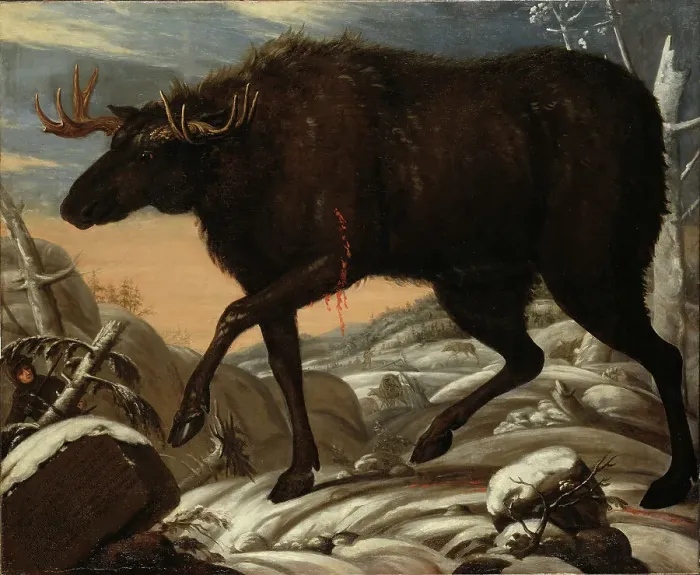 Framed Print : Moose, c17th century. Creator: David Klocker Ehrenstrahl Framed Print : Moose, c17th century. Creator: David Klocker Ehrenstrahl