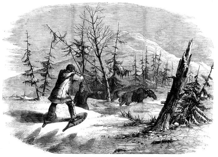 Framed Print : Moose-hunting in Canada - the Attack, 1858. Creator: Unknown Framed Print : Moose-hunting in Canada - the Attack, 1858. Creator: Unknown