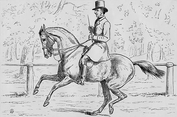 A Morning Canter in the Park, 1881. Creator: Samuel Sidney