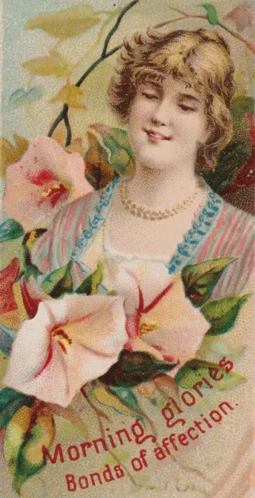 Framed Print : Morning Glories: Bonds of Affection, from the series Floral Beauties Framed Print : Morning Glories: Bonds of Affection, from the series Floral Beauties