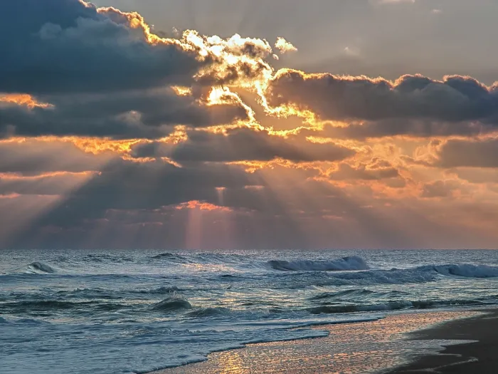 Framed Print : Morning Glorious. Creator: Eve Turek Framed Print : Morning Glorious. Creator: Eve Turek