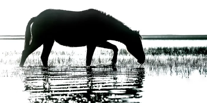 Framed Print : Morning Impression. Creator: Eve Turek Framed Print : Morning Impression. Creator: Eve Turek