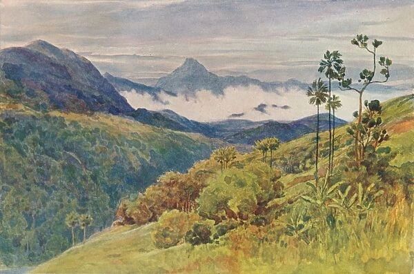 Morning Mists in the Valley of the Mahawelli Gangha, c1880 (1905). Artist: Alexander Henry Hallam Murray