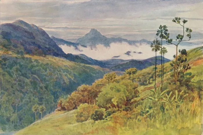 Framed Print : Morning Mists in the Valley of the Mahawelli Gangha, c1880 (1905). Artist: Alexander Henry Hallam Murray Framed Print : Morning Mists in the Valley of the Mahawelli Gangha, c1880 (1905). Artist: Alexander Henry Hallam Murray