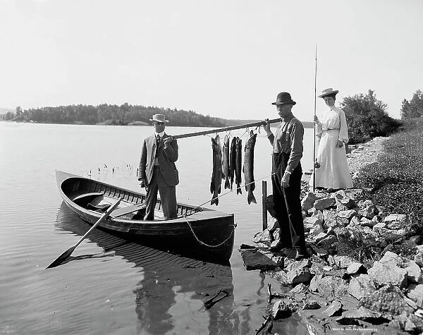 A Morning's catch in the Adirondacks, c1903. Creator: Unknown