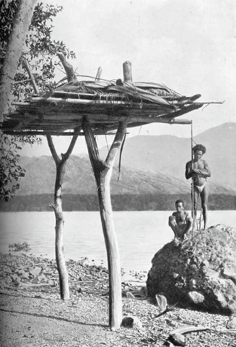Framed Print : Mortuary platform in New Guinea, 1902. Artist: W Lindt Framed Print : Mortuary platform in New Guinea, 1902. Artist: W Lindt