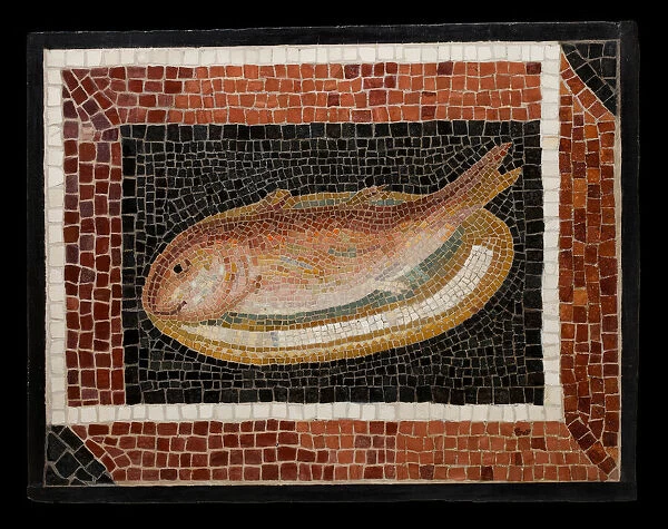 Mosaic Floor Panel Depicting a Fish on a Platter, 2nd century. Creator: Unknown