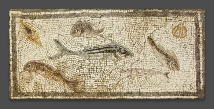 Framed Print : Mosaic Floor Panel Depicting Marine Life, 200-230. Creator: Unknown Framed Print : Mosaic Floor Panel Depicting Marine Life, 200-230. Creator: Unknown