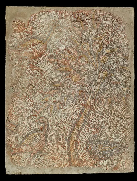 Framed Print : Mosaic Fragment with Three Birds and a Tree, 5th-6th century. Creator: Unknown Framed Print : Mosaic Fragment with Three Birds and a Tree, 5th-6th century. Creator: Unknown