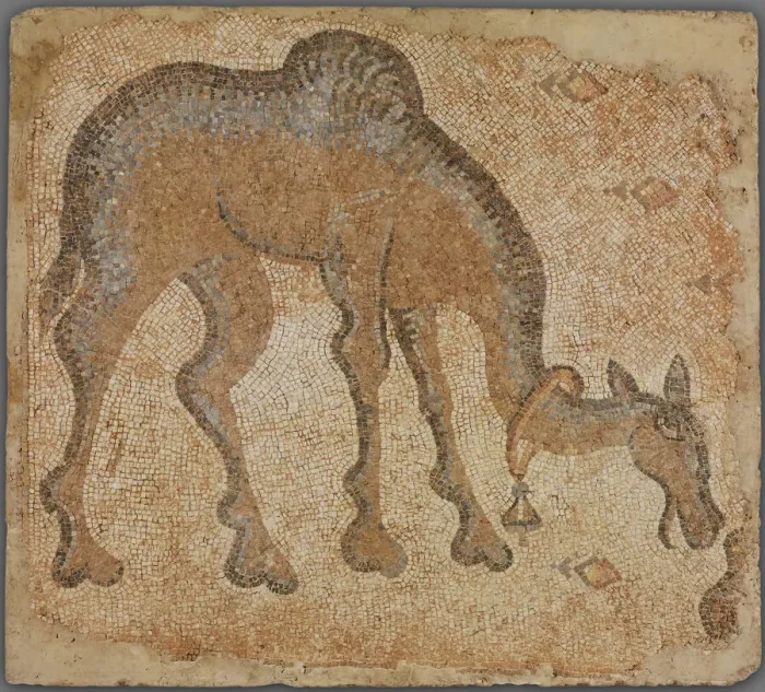 Framed Print : Mosaic Fragment with Grazing Camel, 5th century. Creator: Unknown Framed Print : Mosaic Fragment with Grazing Camel, 5th century. Creator: Unknown