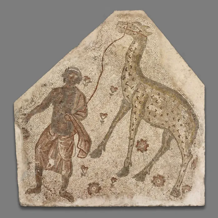 Framed Print : Mosaic Fragment with Man Leading a Giraffe, 5th century. Creator: Unknown Framed Print : Mosaic Fragment with Man Leading a Giraffe, 5th century. Creator: Unknown