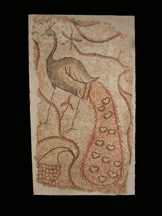 Framed Print : Mosaic Fragment with Peacock Facing Left, 5th-6th century. Creator: Unknown Framed Print : Mosaic Fragment with Peacock Facing Left, 5th-6th century. Creator: Unknown