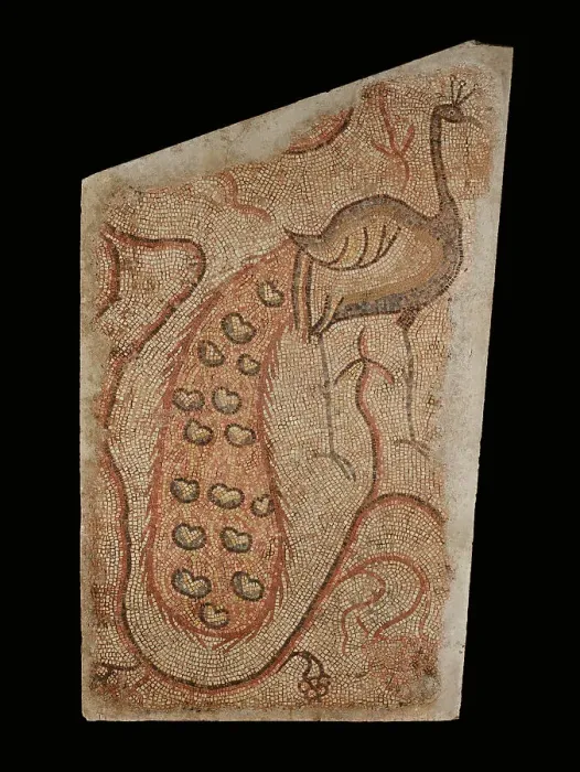 Framed Print : Mosaic Fragment with Peacock Facing Right, 5th-6th century. Creator: Unknown Framed Print : Mosaic Fragment with Peacock Facing Right, 5th-6th century. Creator: Unknown