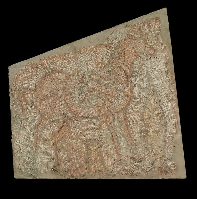 Framed Print : Mosaic of a Horse with Saddle, 5th-6th century. Creator: Unknown Framed Print : Mosaic of a Horse with Saddle, 5th-6th century. Creator: Unknown