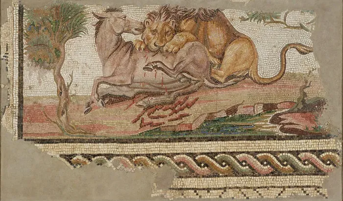 Framed Print : Mosaic of a Lion Attacking an Onager, A.D. 150-200. Creator: Unknown Framed Print : Mosaic of a Lion Attacking an Onager, A.D. 150-200. Creator: Unknown
