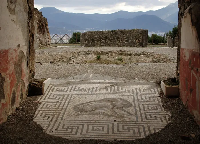 Framed Print : Mosaic, Pompeii, Italy, 2009. Creator: LTL Framed Print : Mosaic, Pompeii, Italy, 2009. Creator: LTL