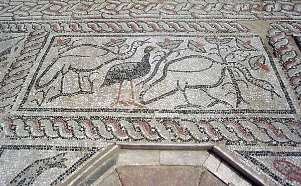 Mosaic, ruins of the Roman town of Stobi, Gradsko, Macedonia