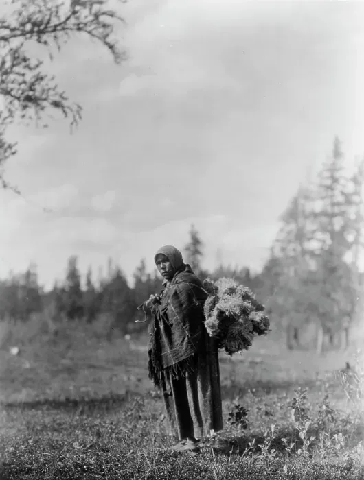 Framed Print : Moss for the baby-bags-Cree, c1927. Creator: Edward Sheriff Curtis Framed Print : Moss for the baby-bags-Cree, c1927. Creator: Edward Sheriff Curtis